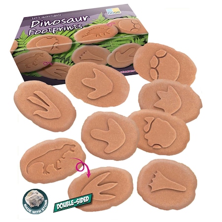 Yellow Door Lets Investigate Dinosaur Footprints 1086